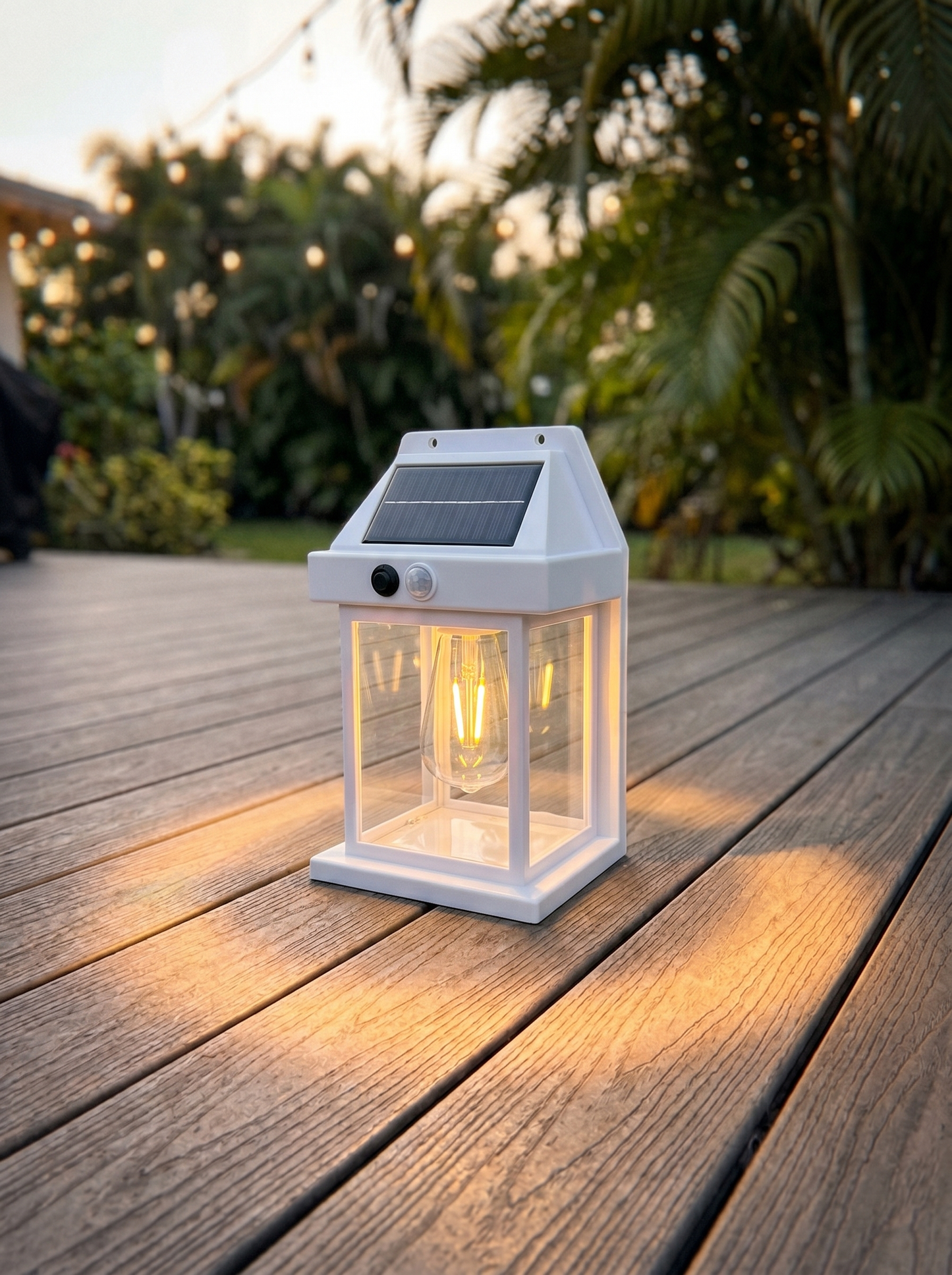Solar Outdoor Wall Lantern